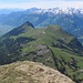 Tiefblick auf die Wiesen des Gonzen-Gebietes.