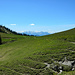Der weite Grassattel im Süden des Alpkopfs. Statt dem Weg hinauf zur Binnel Alpe zu folgen, zweigt man beim gut sichtbaren Graben nach rechts ab.