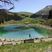 Brandsee