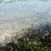 Des See hatte einen sehr hohen Wasserpegel. Das wäre der normale Wanderweg