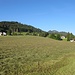 Ein Traumtag par Excellence: duftende Wiesen im Gunzesrieder Tal am Startpunkt (P bei Gunzesried Säge) der heutigen Bergwanderung.