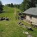 alpe Orlo