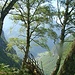 Die Aussicht im Aufstieg nach Cogliata in Richtung Maggiatal