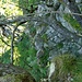 Gegend oberhalb von Cogliata