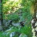 Wegstück oberhalb Cogliata ins Bachtobel