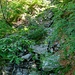 Am Bachlauf im Wald oberhalb Cogliata
