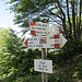 bei Prati di Guil wälen wir den Weg 430, dem wir noch bis zum Monte Guil folgen