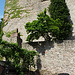 Bergfried (Stumpf 13. Jahrh.) mit Wehrmauer nach Westen (13. Jahrh.)