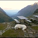 Erster Stopover bei der Silvrettahütte am frühen Morgen (Bellen verboten, um die dort schnarchenden alpinen Siebenschläfer nicht aus den Träumen zu reissen!).