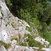 Steiler Abschnitt nach der Höhle "Adlerhorst"