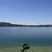 Kochelsee.