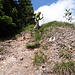 Abwechslungsreicher Weg