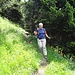 Wälder und offene Hänge, der Weg ist abwechslungsreich angelegt