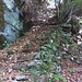 Austieg zum Corte d'Auènn, die erste Treppe nach der langen Traverse entlang der Felswand oberhalb Semacorte