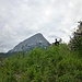 Blick zurück aufs steirische Matterhorn