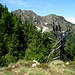 Monte Combana
