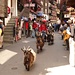 Ziegenparade in Zermatt :-)