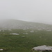 auf dem [p Hinderrugg / Hinterrugg 2306 m]. leider neblig.