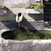 Römischer Brunnen in Rovio - Ora Pro Nobis