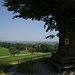 Alte Linde in St. Maragareten mit Ausblick auf die Ebene