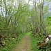lauschiger Weiterweg 2
