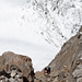 Kurz vor der Dossenhütte kommt noch mal eine Kletterpartie vor dem grandiosen Rosenlaui Gletscher