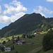 Der stark bewaldete Heuberg über den Terrassen von Hirschegg