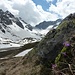Abstecher zum Hohen Moos