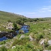 Toller Wasserlauf im Dartmoor