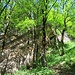 den Felsen entlang steil aufwärts ...