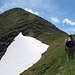 Nachdem die ca. 700Hm in der N-Flanke zuegig zurueckgelegt sind, kommt der Gipfel des ersten Munros fuer heute, An Gearanach (982m), ins Bild.