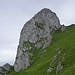 Felsturm des Mont Gardy: Das Fixseil hängt unterhalb der Fichten.. 