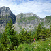 Durch ziemlich viel Vegetation