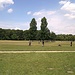 auch Cricket wurde im Englischen Garten gespielt
