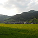 Schoppernau im Abendlicht
