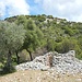 An dieser Ruine ist der "Abzweig" um auf den Kale Tepesi zu den Ruinen von Apollonia hochzusteigen. Das ist zwar nicht offiziell Teil des Lykischen Weges, aber der Abstecher (Aufstieg knapp 15min) lohnt sich auf alle Fälle.
