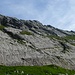 Die Rinnen im Kalkstein reizen zum Klettern, Blick hinauf auf den Grat der Rossmad (http://www.hikr.org/gallery/photo1521893.html?post_id=83516#1)