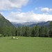 untypische Tessiner Weite: Alpe Cadonigo