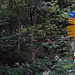 Wegweiser beim Kaltbrunntobel