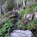 Der Aufstieg durch die Waldschneise