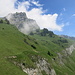 kurze Querung von der Alp Unter Stafel ins Unter Bützi