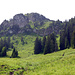 Natur pur. Auf den Berg geht's rechts haltend um die erste Felsstufe, dann nach links über den bewaldeten Grat.