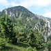 Blick vom Preinecksattel zum Schwarzauer Gippel.