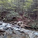 river crossing on Flume Slide Trail