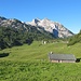 Über die sanften Matten der morgendlichen Reiter Alpe wandere ich hinüber zur Alten Traunsteiner Hütte - immer das Ziel vor Augen.