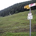 Beginning of the path at Monte Angone.