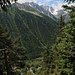 Manchmal kann man im schönen Bergwald zwischen Bäumen die Aussicht geniessen. Im Talschluss erkennt man die Pointe d'Orny (3270m).