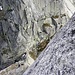 Abseilen in die Gelmerlücke