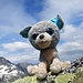 Glubschi auf dem Grossen Gelmerhorn
