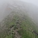 auf der nördlichen Traverse des Widderfelds bewegen wir uns meist im Nebel - wie hier im Aufstieg